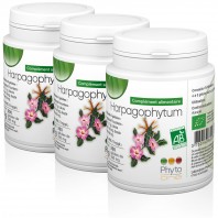 3 Harpagophytum Bio (Griffe du diable)