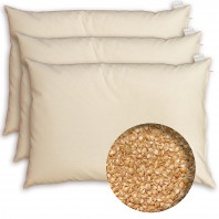 3 Oreillers cervicaux à la Balle de Millet BIO