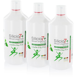 3 Silicia7+