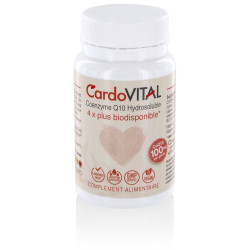CoQ10 Hydrosoluble