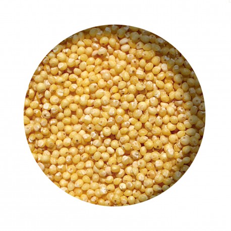 Recharge de balle de millet BIO